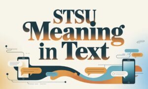 STSU Meaning in Text