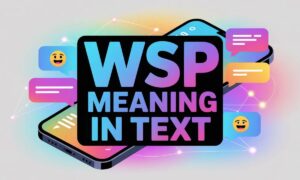 WSP Meaning In Text