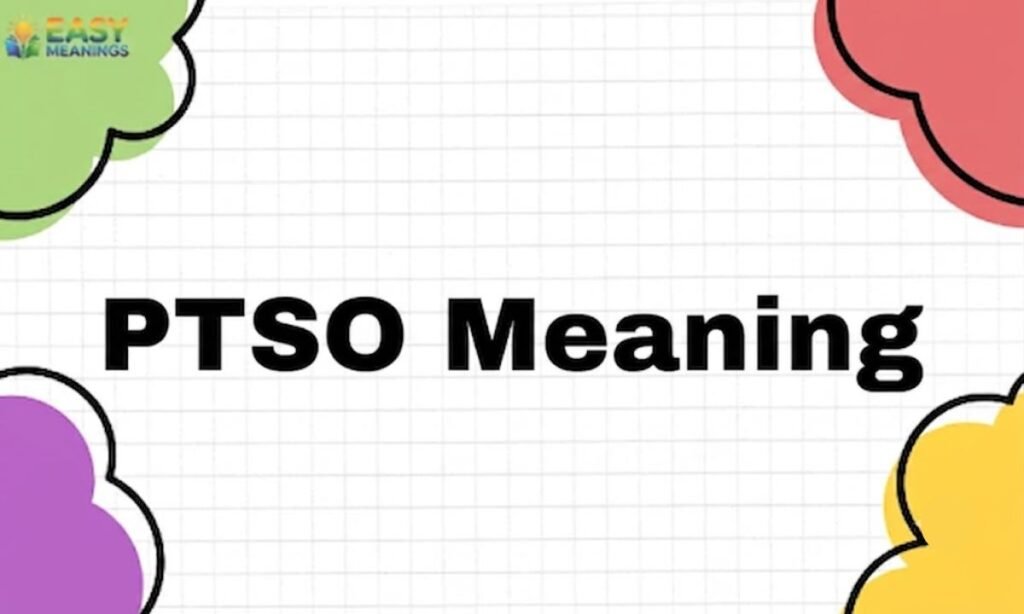 PTSO Meaning: Full Explanation, Usage, and Hidden Contexts PTSO Meaning