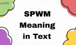 SPWM Meaning in Text