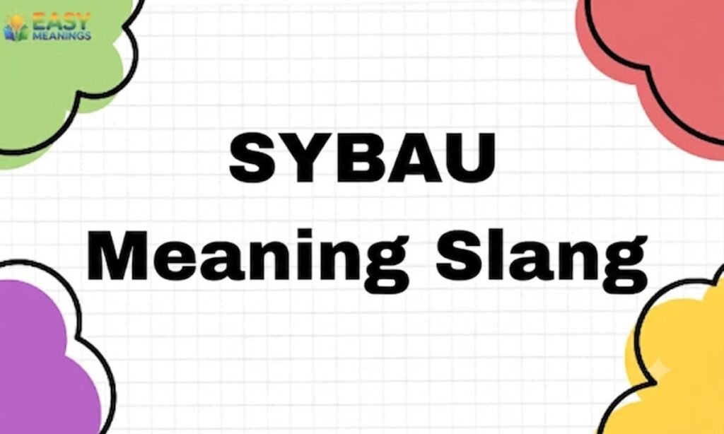 SYBAU Meaning Slang