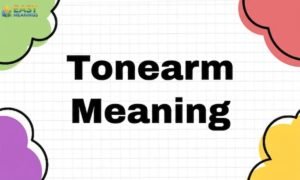 Tonearm Meaning