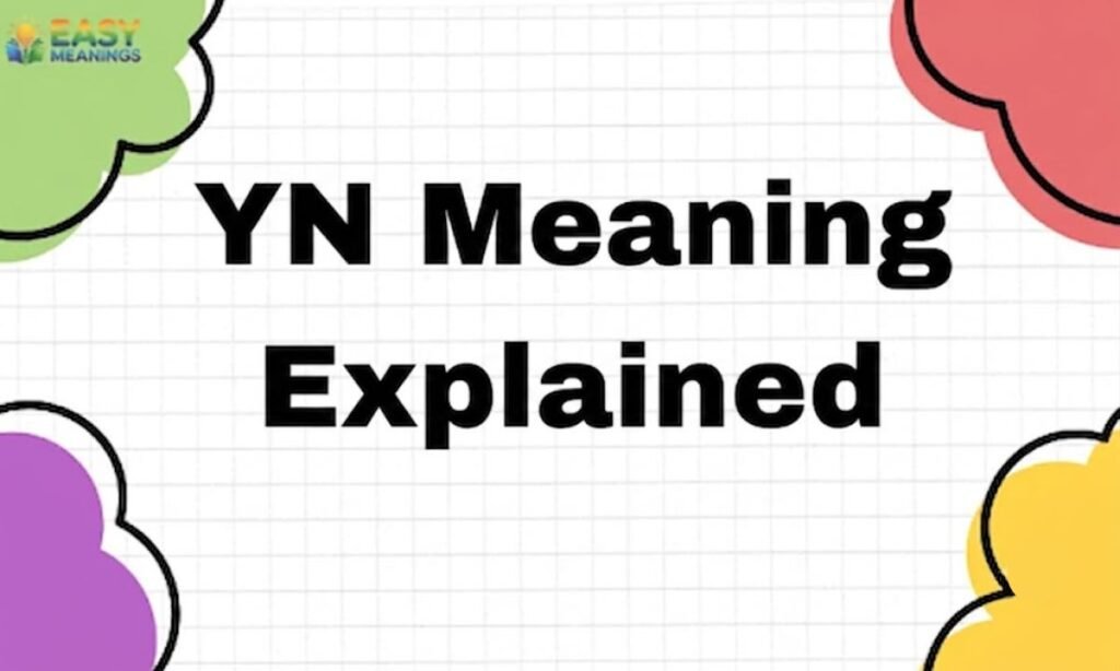 YN Meaning
